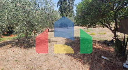 For Sale - Land 900 m² in Chalkidiki