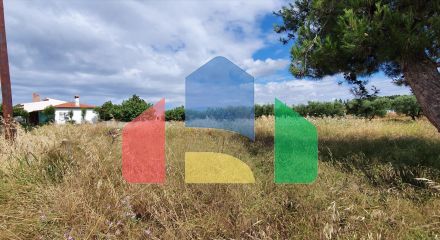 For Sale - Land 2025 m² in Chalkidiki