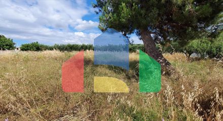 For Sale - Land 2025 m² in Chalkidiki