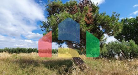 For Sale - Land 2025 m² in Chalkidiki