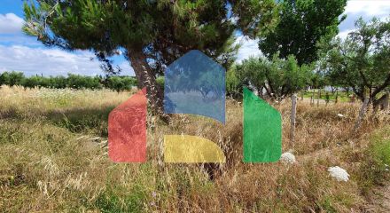For Sale - Land 2025 m² in Chalkidiki