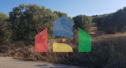 For Sale - Land 1500 m² in Chalkidiki