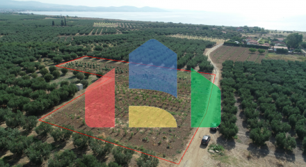 For Sale - Land 4811 m² in Chalkidiki