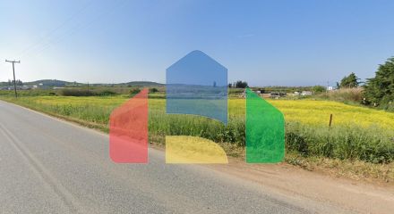 For Sale - Land 5800 m² in Chalkidiki