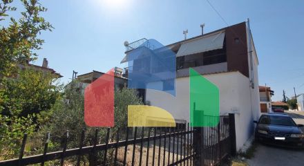 Продаж - Котедж 320 m² в Халкидіках