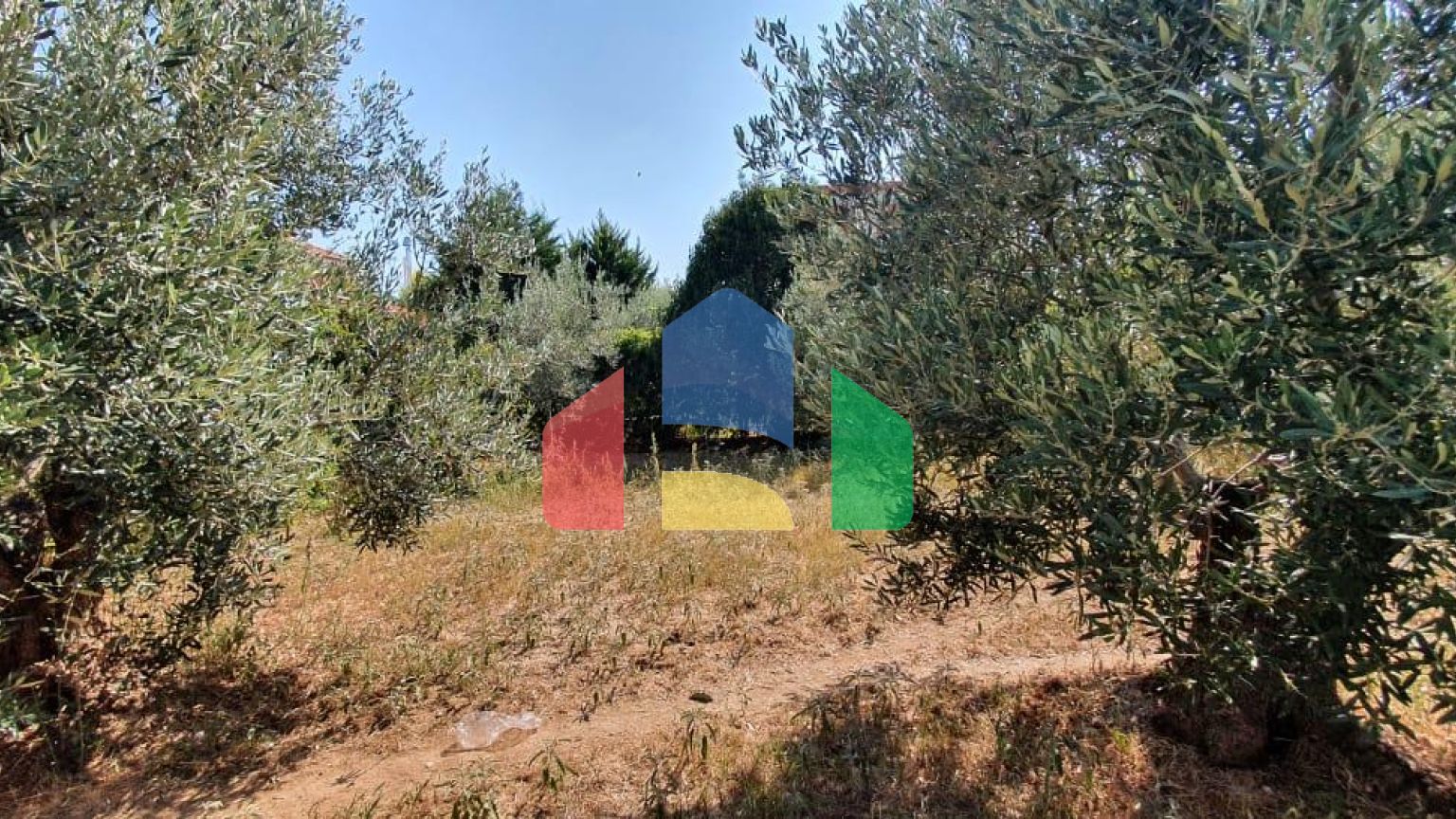 Продаж - Котедж 320 m² в Халкидіках