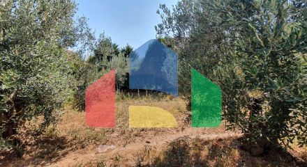 Продаж - Котедж 320 m² в Халкидіках