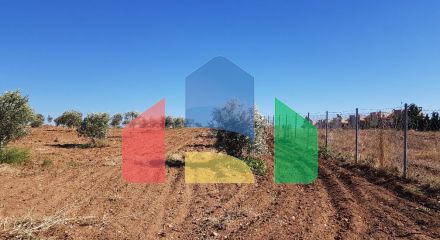 Продаж - Земельна ділянка 5500 m² в Халкидіках