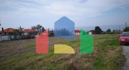 For Sale - Land 8000 m² in Chalkidiki