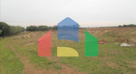 Продаж - Земельна ділянка 4946 m² в Халкидіках