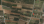 For Sale - Land 8014 m² in Chalkidiki