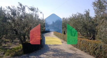 Продаж - Котедж 342 m² в Халкидіках