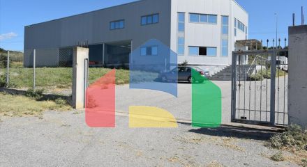 Продаж - Бізнес 800 m² в Халкидіках
