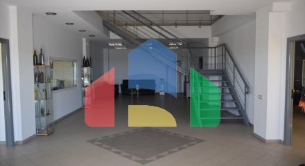Продаж - Бізнес 800 m² в Халкидіках