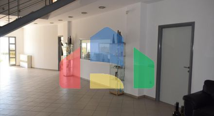 Продаж - Бізнес 800 m² в Халкидіках