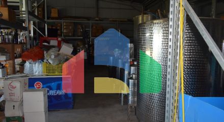 Продаж - Бізнес 800 m² в Халкидіках