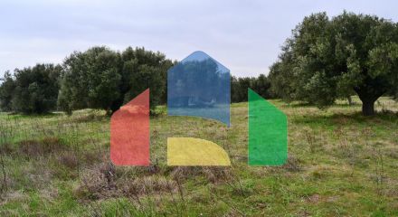 Продаж - Земельна ділянка 34000 m² в Халкидіках