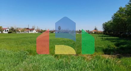 Продажа - Земельный участок 8250 m² в Халкидиках