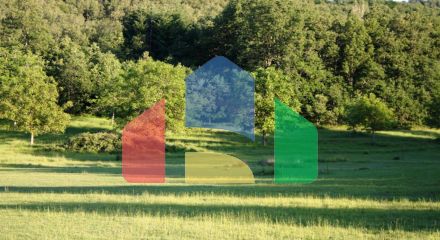 For Sale - Land 32000 m² in Chalkidiki