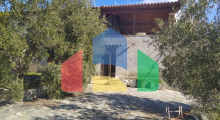 Продаж - Котедж 320 m² в Халкидіках