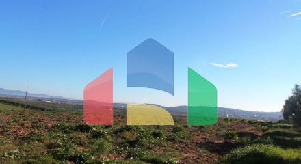 Продажа - Земельный участок 6300 m² в Халкидиках