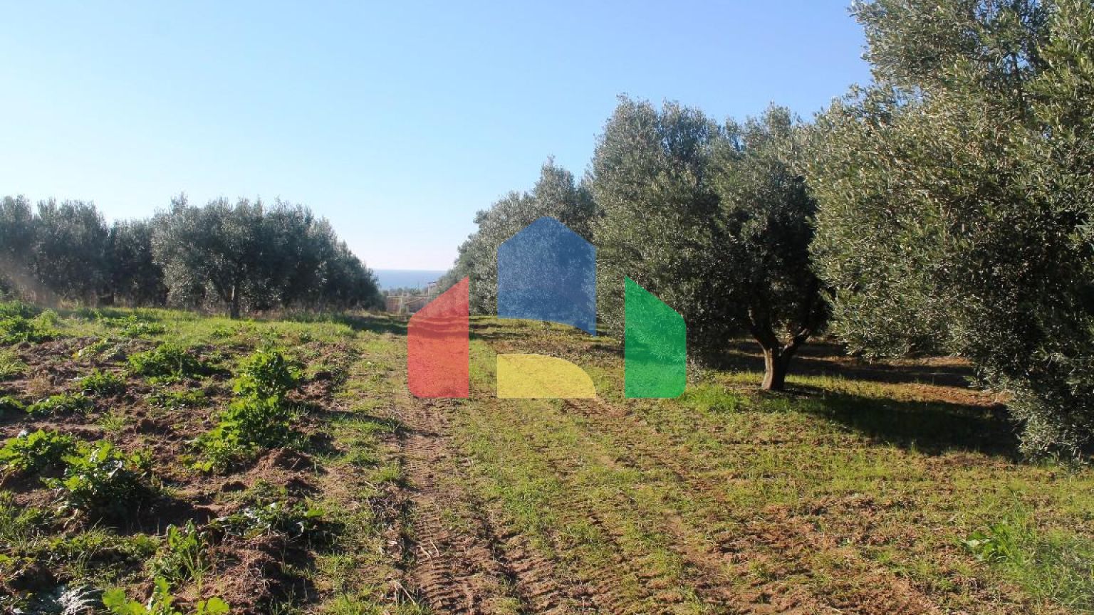 Продаж - Земельна ділянка 6300 m² в Халкидіках