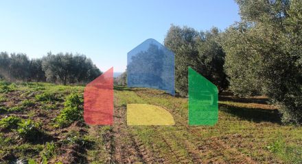 Продаж - Земельна ділянка 6300 m² в Халкидіках