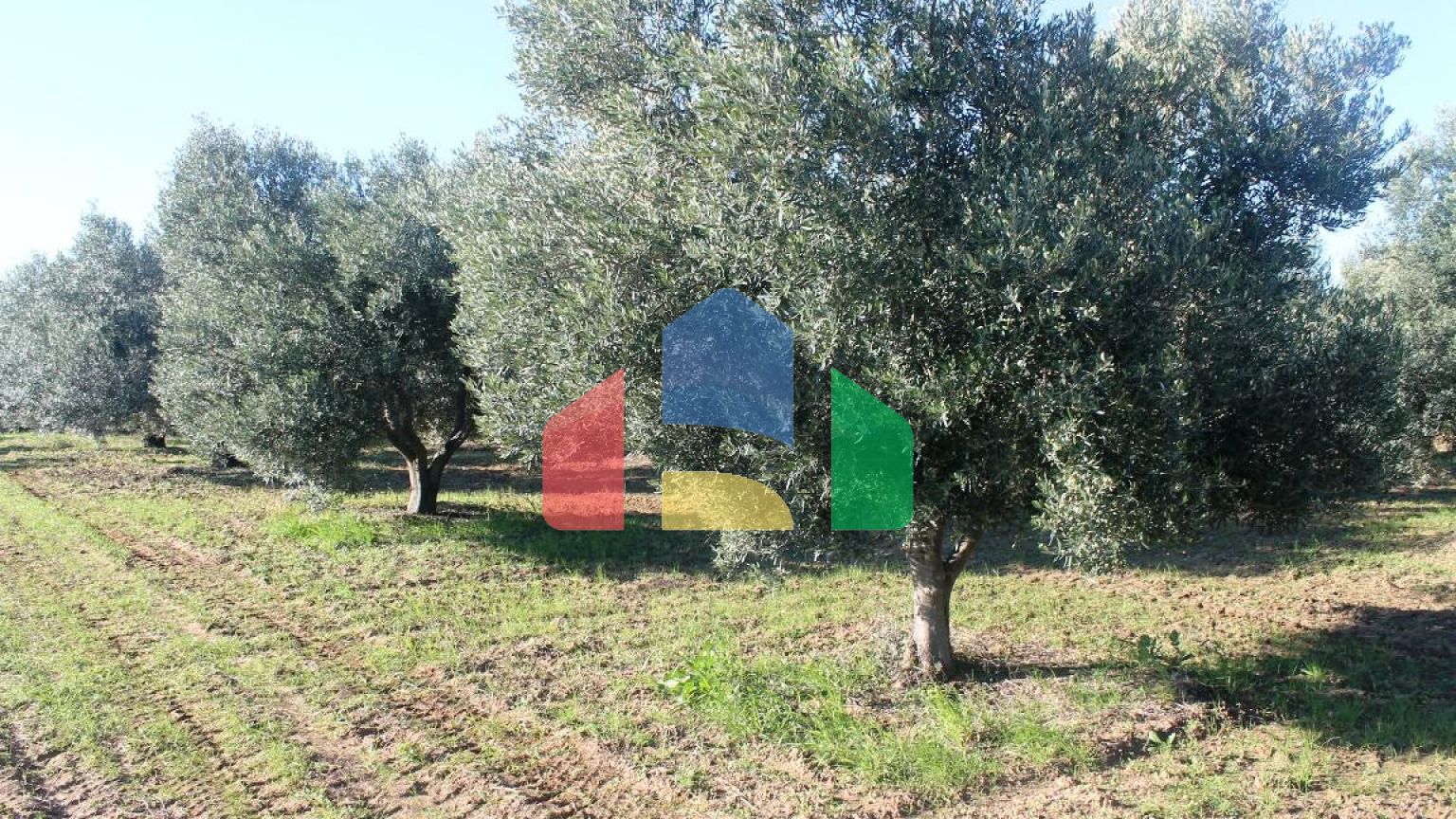 Продаж - Земельна ділянка 6300 m² в Халкидіках