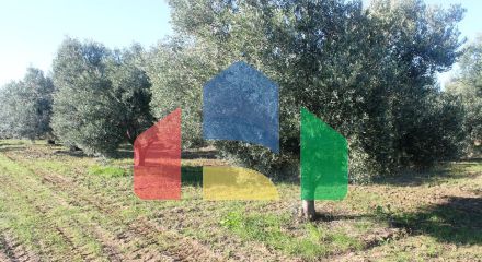 Продаж - Земельна ділянка 6300 m² в Халкидіках