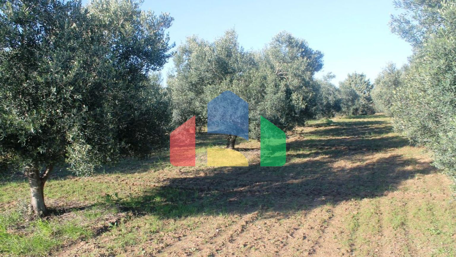 Продаж - Земельна ділянка 6300 m² в Халкидіках