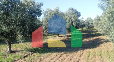 Продаж - Земельна ділянка 6300 m² в Халкидіках