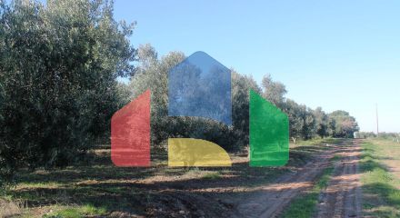 Продаж - Земельна ділянка 6300 m² в Халкидіках