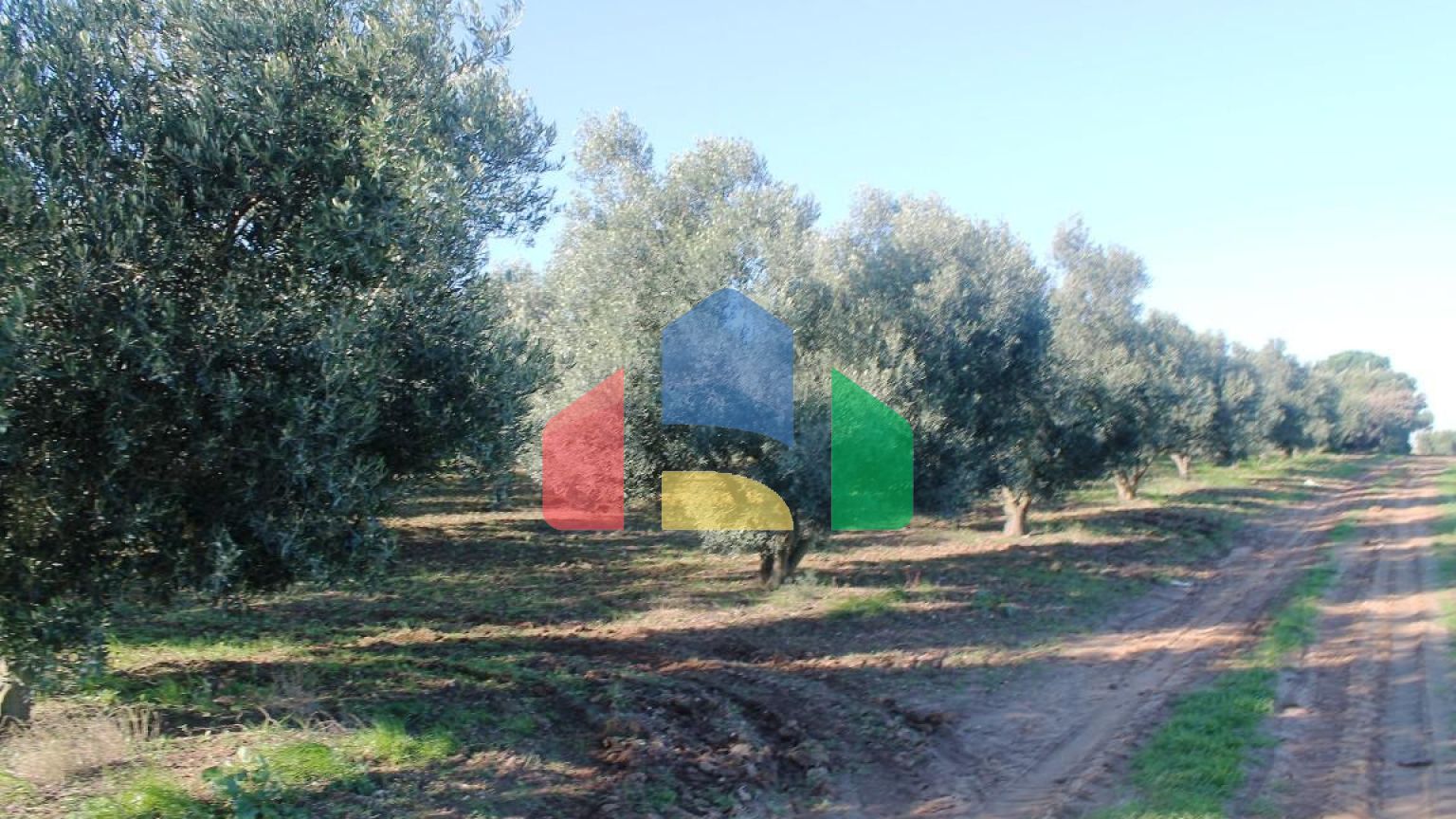 Продаж - Земельна ділянка 6300 m² в Халкидіках