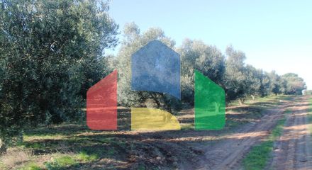 Продаж - Земельна ділянка 6300 m² в Халкидіках