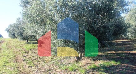 Продаж - Земельна ділянка 6300 m² в Халкидіках