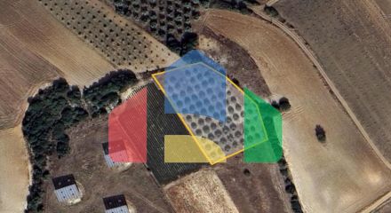 For Sale - Land 3825 m² in Chalkidiki