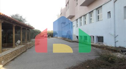 Продажа - Бизнес 5230 m² в Халкидиках Продажа - Бизнес 5230 m² в Халкидиках