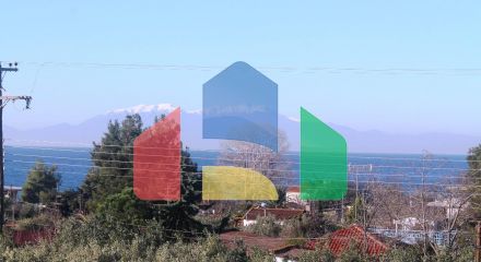For Sale - Land 22000 m² in Chalkidiki