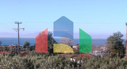 For Sale - Land 22000 m² in Chalkidiki