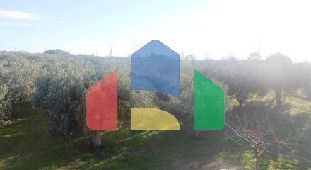 For Sale - Land 22000 m² in Chalkidiki