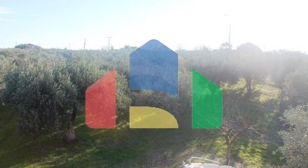 For Sale - Land 22000 m² in Chalkidiki