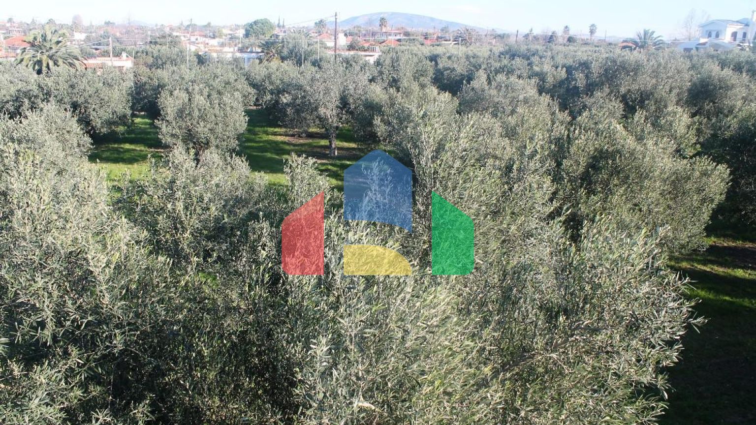 Продажа - Земельный участок 22000 m² в Халкидиках