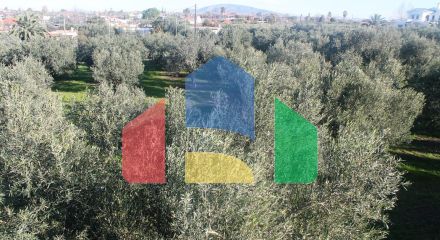 Продажа - Земельный участок 22000 m² в Халкидиках