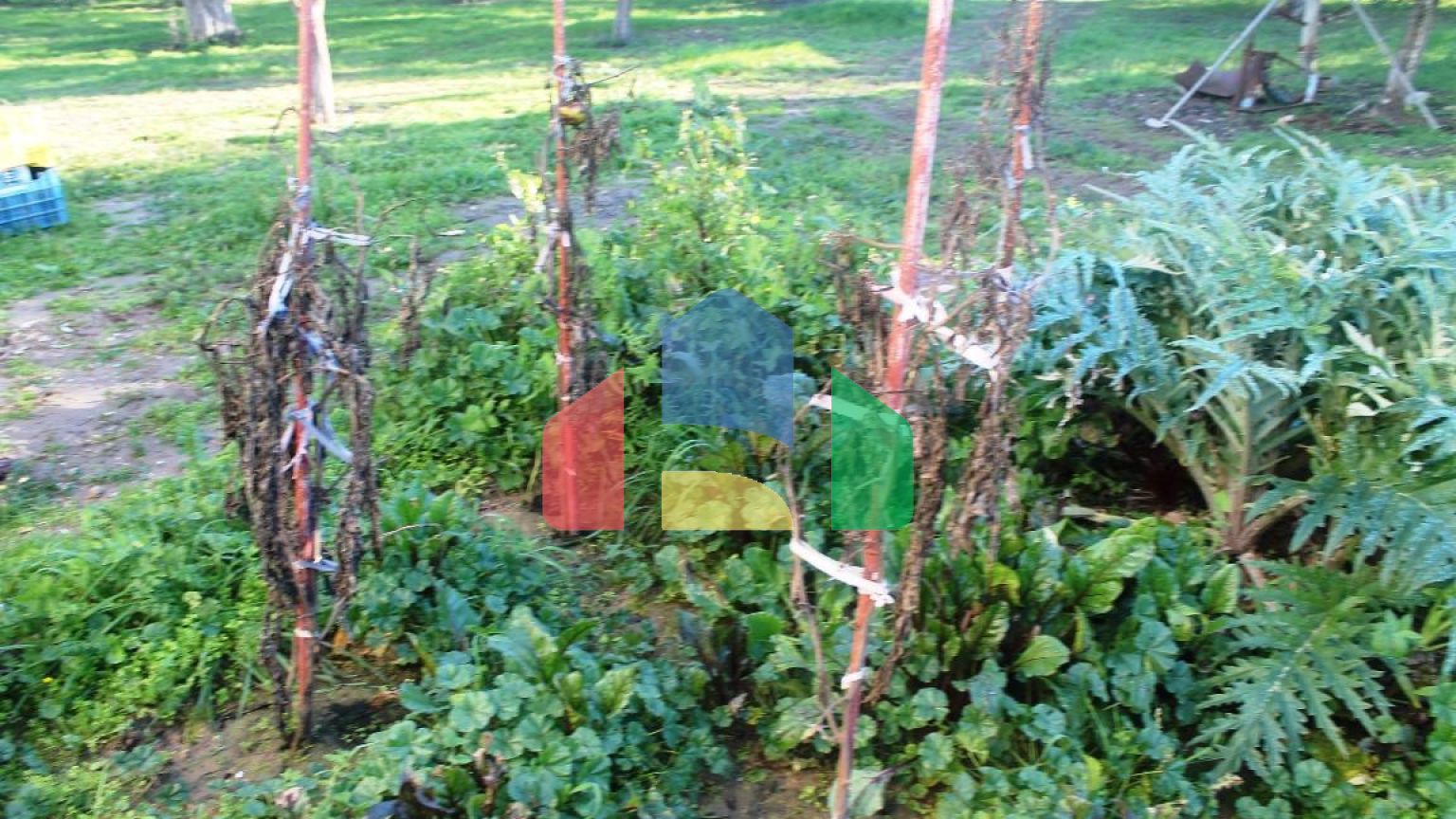 Продажа - Земельный участок 22000 m² в Халкидиках