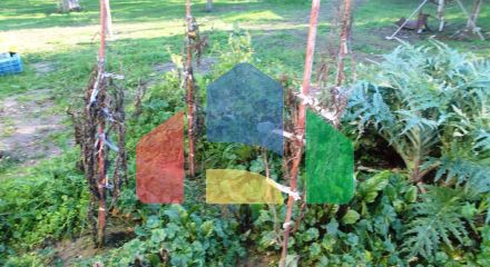 Продажа - Земельный участок 22000 m² в Халкидиках