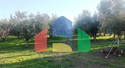 Продажа - Земельный участок 22000 m² в Халкидиках