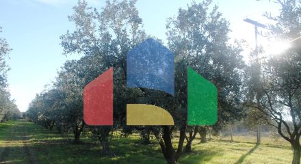 Продажа - Земельный участок 22000 m² в Халкидиках