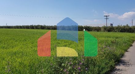 Продажа - Земельный участок 16856 m² в Халкидиках