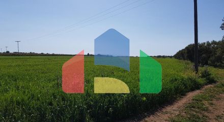 Продажа - Земельный участок 16856 m² в Халкидиках
