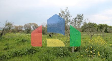 Продаж - Земельна ділянка 3000 m² в Халкидіках
